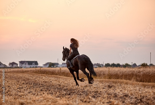 Girl riding a friesian horse in a field at sunset © Елизавета Мяловская