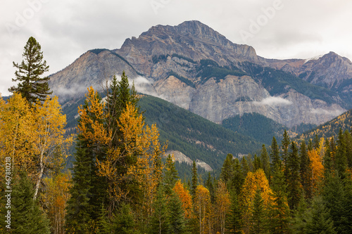 Mountain scenery in Banff National Parks Alberta Canada. Autumn landscape of a mountains and forest.