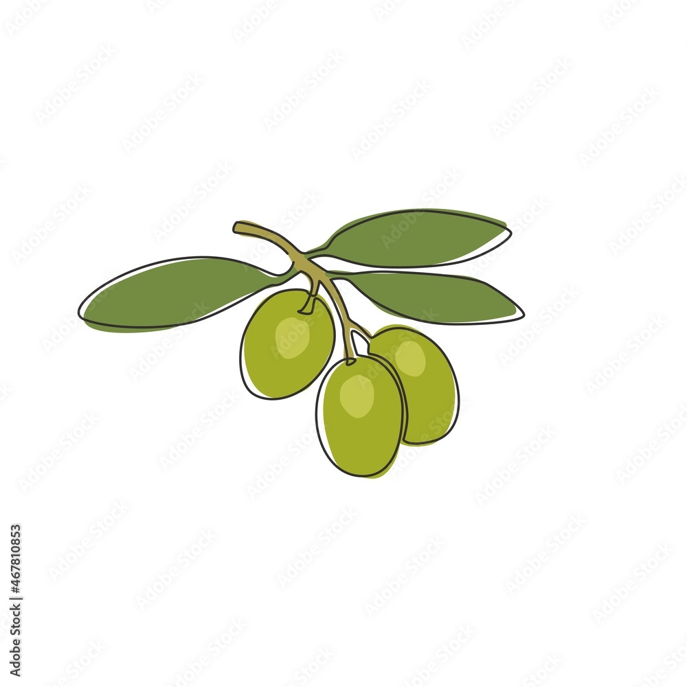 Premium Vector | Olive sketch element collection olive branches isolated  over white background leaves olives vector