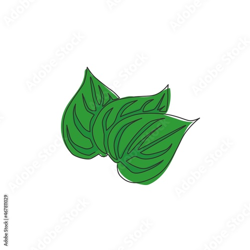 Obraz na plátně One single line drawing of pile healthy organic betel leaf for farm logo identity