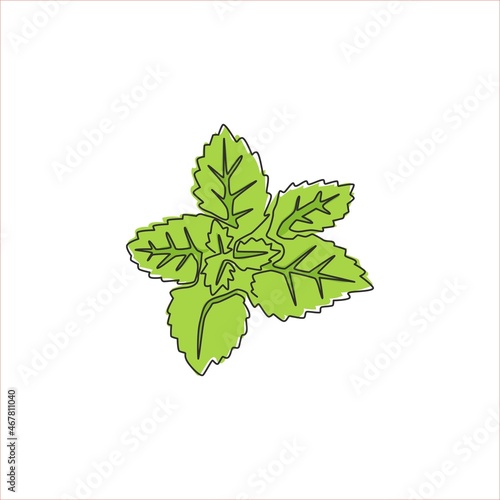 Single continuous line drawing of healthy organic mint leaves for farm logo identity. Fresh mentha plant concept for plantation icon. Modern one line draw design graphic vector illustration
