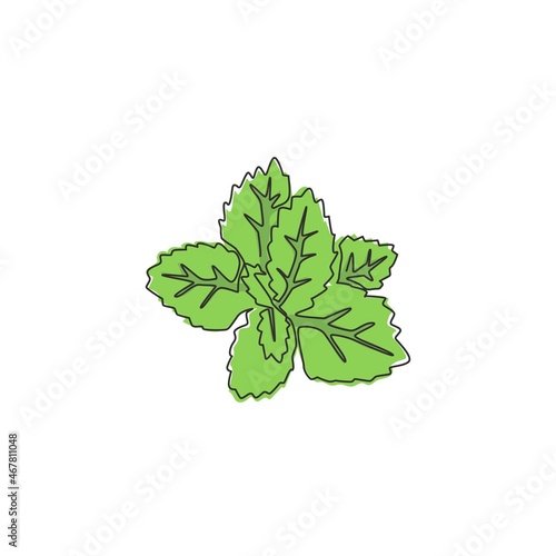 One single line drawing of healthy organic mint leaves for farm logo identity. Fresh lamiaceae plant concept for plantation icon. Modern continuous line graphic draw design vector illustration