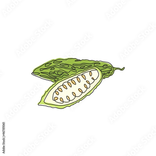 Single continuous line drawing of whole and sliced healthy organic bitter gourd for garden logo identity. Fresh Indonesian pare concept for veggie icon. Modern one line draw design vector illustration