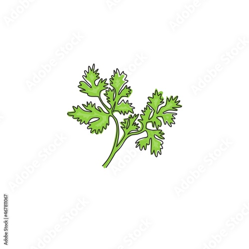 One continuous line drawing of healthy organic coriander leaf for farm logo identity. Fresh Chinese parsley concept for vegetable icon. Modern single line draw design graphic vector illustration