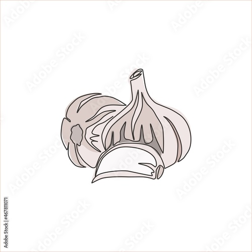 One continuous line drawing of whole healthy organic garlic for plantation logo identity. Fresh cuisine seasoning concept for vegetable icon. Modern single line draw design vector graphic illustration