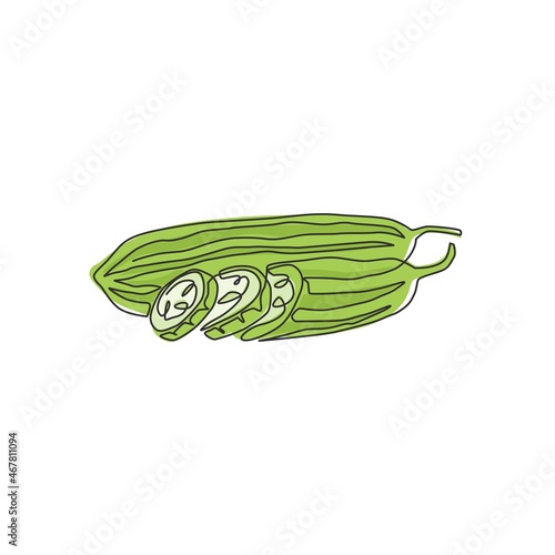 Single continuous line drawing of whole and sliced healthy organic sponge gourd for logo identity. Fresh Vietnamese luffa concept for vegetable icon. Modern one line draw design vector illustration