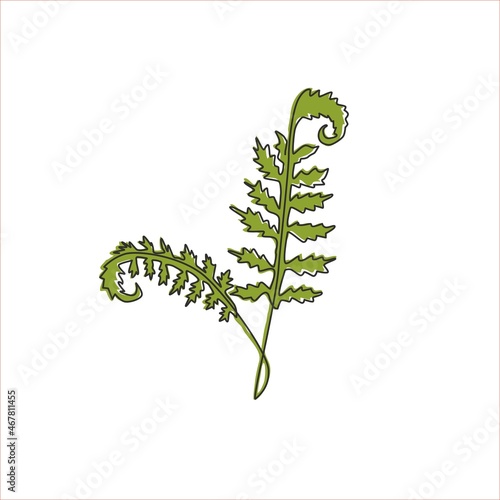 One continuous line drawing of cute tropical leaves fern plant. Printable decorative exotic houseplant concept for home wall decor ornament. Modern single line draw design graphic vector illustration