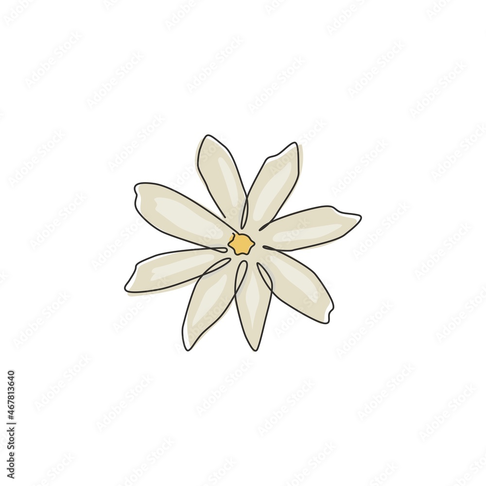 Single continuous line drawing of beauty fresh evergreen jasmine flower. Printable decorative poster jasminum concept for home wall decor art. Modern one line draw design graphic vector illustration Single continuous line drawing of beauty fresh evergreen jasmine flower. Printable decorative poster jasminum concept for home wall decor art. Modern one line draw design graphic vector illustration