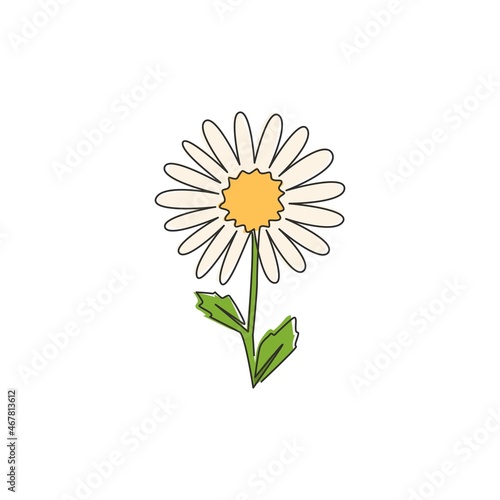 One continuous line drawing of beauty fresh bellis perennis for wall decor art poster. Printable decorative daisy flower concept for fabric textile. Modern single line draw design vector illustration