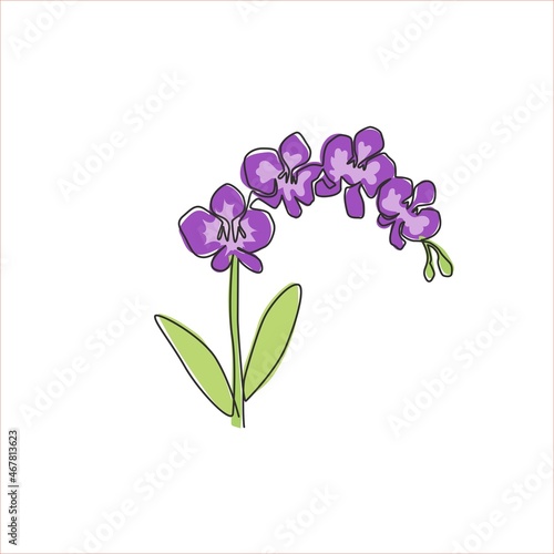 One single line drawing of beauty fresh gladiolus for home wall decor poster art. Printable decorative sword gladius flower concept for fashion textile. Continuous line draw design vector illustration