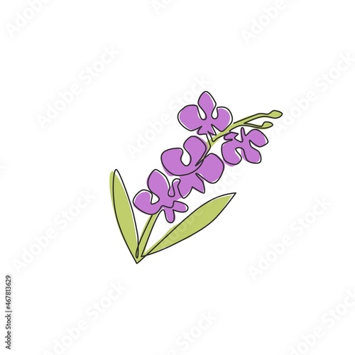Single continuous line drawing of beauty fresh gladiolus. Printable decorative poster sword gladius flower concept for home wall decor art. Modern one line draw design vector graphic illustration