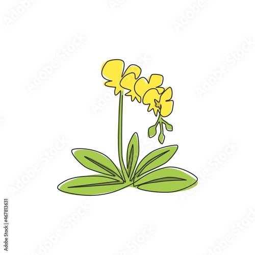 One continuous line drawing of beauty fresh lily for home wall art decor poster. Printable sword gladius flower concept for wedding invitation card. Modern single line draw design vector illustration