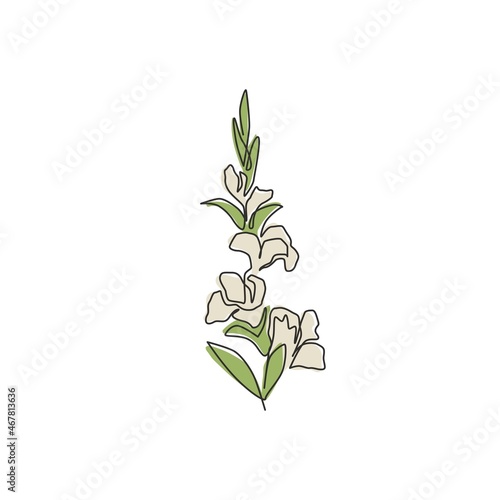 One single line drawing of beauty fresh gladiolus for home wall art decor. Printable poster decorative sword gladius flower concept. Modern continuous line draw design vector graphic illustration