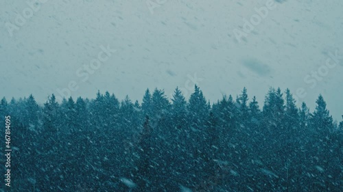 Beautiful snowfall or blizzard on the background of the forest in slow motion. Merry Christmas background.