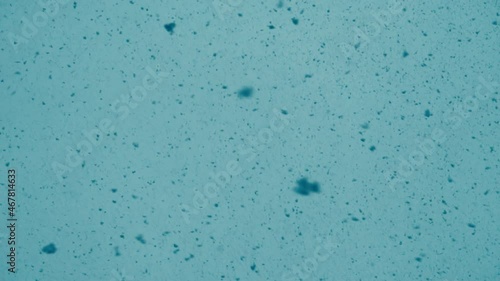 Beautiful snowfall or blizzard on the background of the cinematic blue sky in slow motion. Merry Christmas background.
