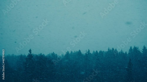 Beautiful snowfall or blizzard on the background of the forest in slow motion. Merry Christmas background.