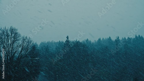 Beautiful snowfall or blizzard on the background of the forest. Merry christmas background.
