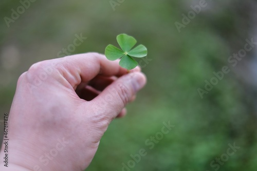 A hand picking up a green 4 leaf clover from a garden, saving it as a good luck charm. The four leaves represent hope, faith, love and luck.