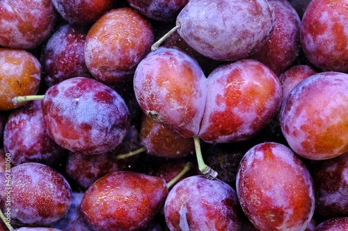 A top view of a bunch of ripe fresh red and purple plums with one conjoined pair shaped like a heart in the middle.