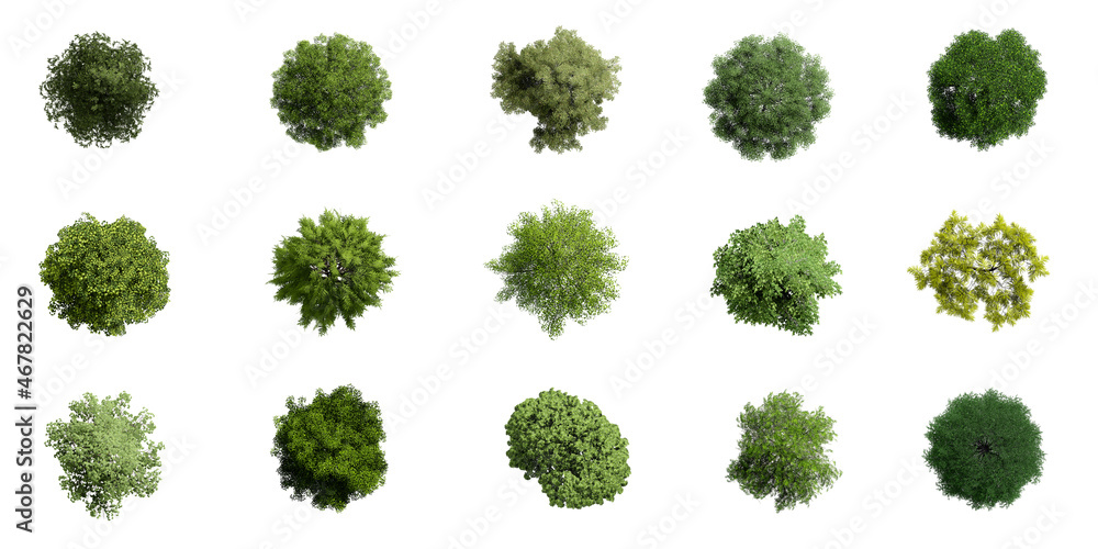 Collection of 3D Top view Green Trees Isolated on white background , Use for visualization in architectural design or garden decorate Collection of 3D Top view Green Trees Isolated on white background , Use for visualization in architectural design or garden decorate