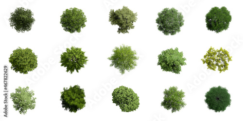 Fototapeta Naklejka Na Ścianę i Meble -  Collection of 3D Top view Green Trees Isolated on white background , Use for visualization in architectural design or garden decorate