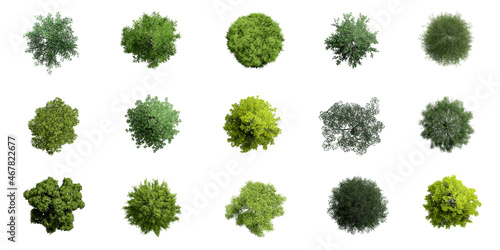 Collection of 3D Top view Green Trees Isolated on white background , Use for visualization in architectural design or garden decorate photo