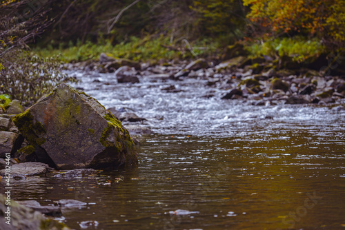 large stones overgrown with moss in a forest on a mountain river