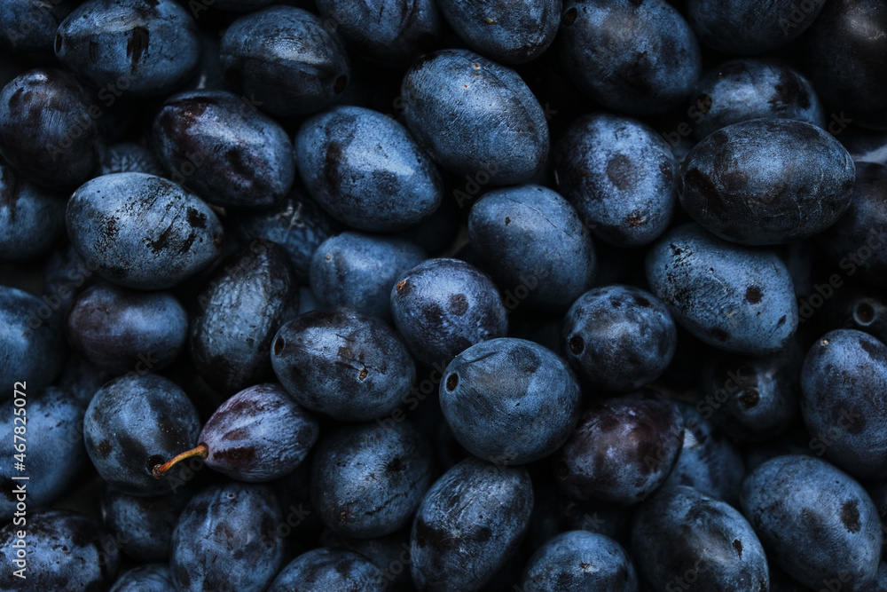 Background is bright and ripe plums, beautiful and delicious fruits. Background is bright and ripe plums, beautiful and delicious fruits.