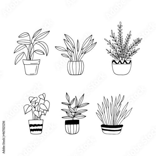 houseplants in pots set icon hand drawn. vector, minimalism, scandinavian, monochrome, nordic. sticker, plant, flowers.