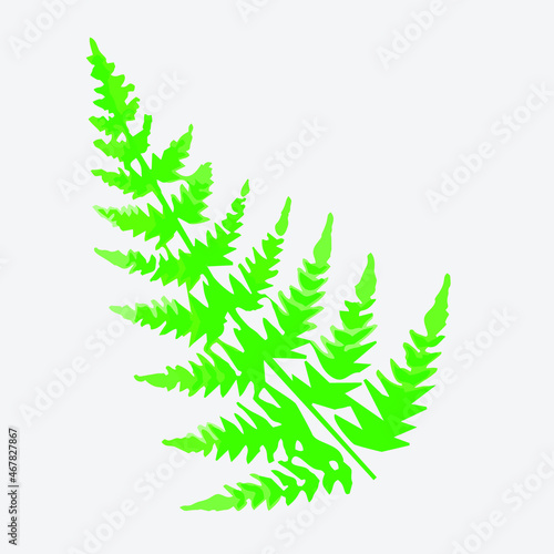 Vector illustration of green leaf isolated. Suitable for clip art, icon, or other creative design