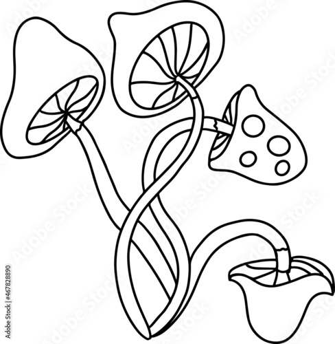 Sketch poisonous mushrooms. Vector black and white illustration.