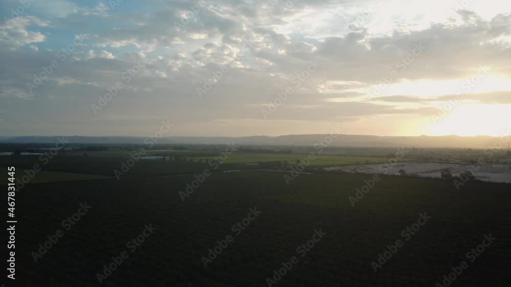 AERIAL - Beautiful vineyard at sunrise, Ica, Peru, wide shot lowering truck left