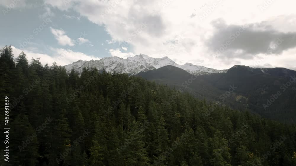 Birds Eye Cinematic Aerial View of Lush Green Mountain Forest with Snowy Peaks, Blue Cloudy Sky, Pemberton Mount Currie British Columbia Canada (4K)