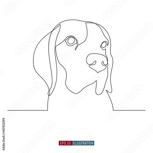 Continuous line drawing of The head of a dog. Beagle. Template for your design. Vector illustration.