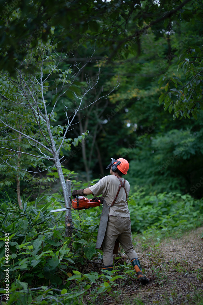 Man Felling Wood Man Felling Wood
