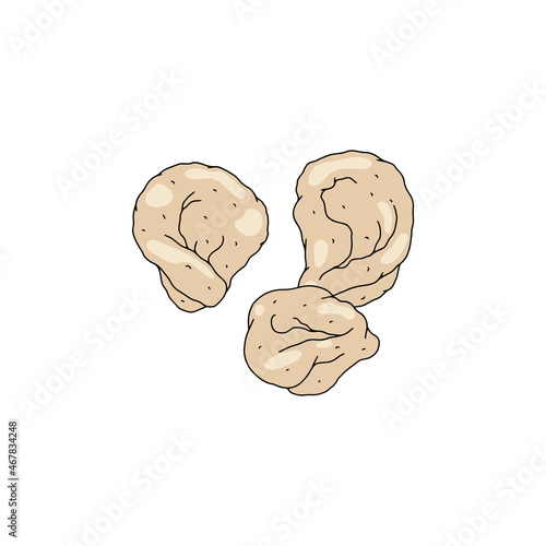 Dumplings or pelmeni of asian or european cuisine, vector illustration isolated.