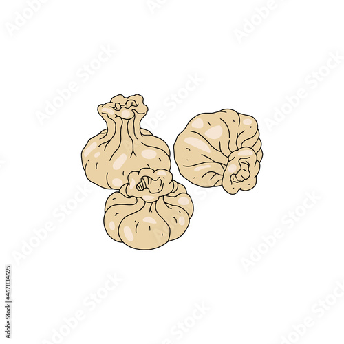 Georgian khinkali or Chinese baozi dumplings, vector illustration isolated.