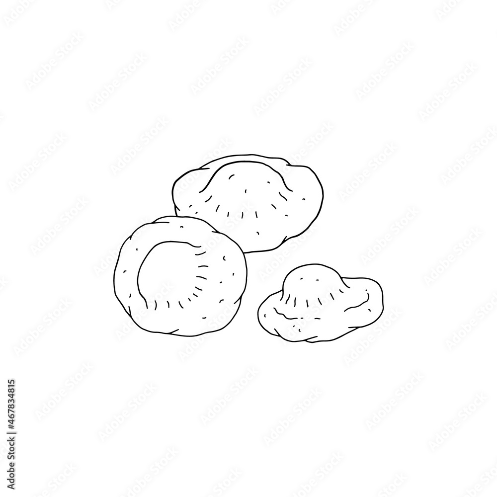 Gnocchi or small dumpling with filling, black line vector illustration isolated. Gnocchi or small dumpling with filling, black line vector illustration isolated.