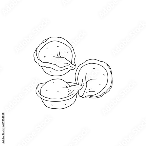 Tasty handmade dumplings from dough, meat in ink sketch vector illustration