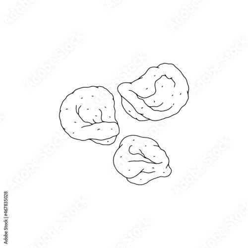 Dumplings with cottage cheese, gnocchi in ink sketch vector illustration