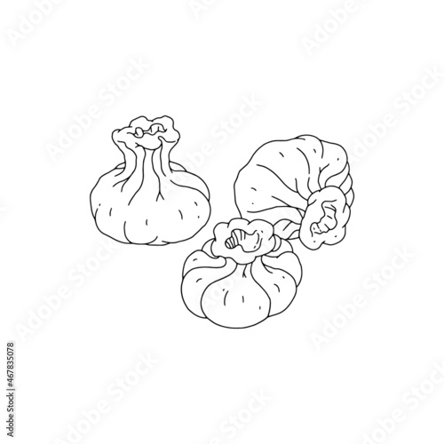 Khinkali or meat dumpling of Georgian cuisine, vector illustration isolated.