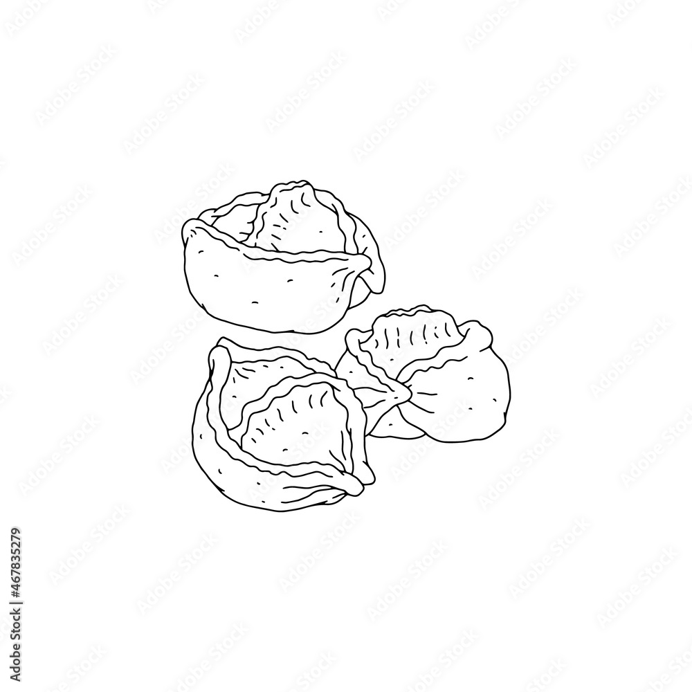 Manty, dumplings from thinly rolled dough stuffed with meat, onions, steamed Manty, dumplings from thinly rolled dough stuffed with meat, onions, steamed