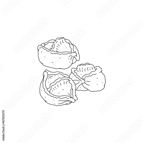 Manty, dumplings from thinly rolled dough stuffed with meat, onions, steamed