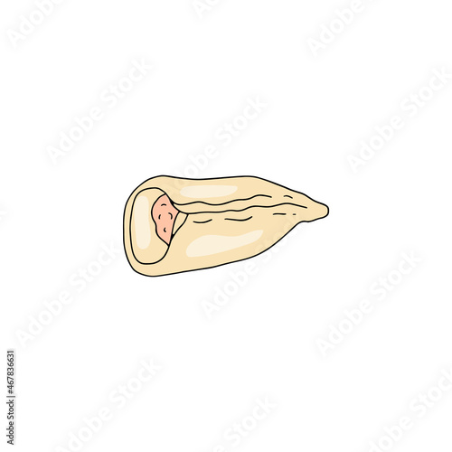 Raw dough dumplings, a traditional preparation pelmeni in sketch vector