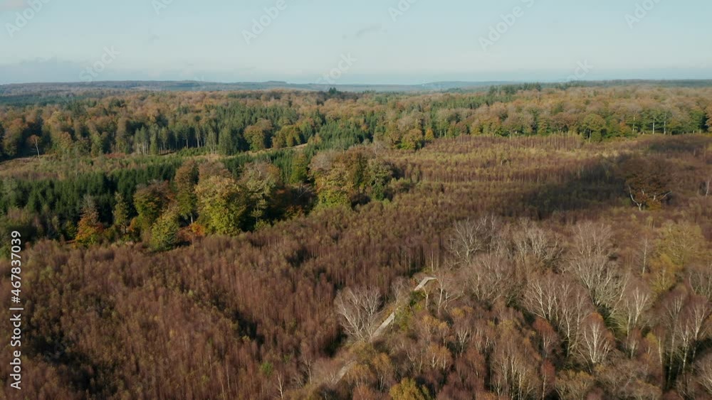 Panoramic View Of Vast Forest In Fagne du Rouge Ponce During Autumn Season In Saint Hubert, Belgium. aerial Panoramic View Of Vast Forest In Fagne du Rouge Ponce During Autumn Season In Saint Hubert, Belgium. aerial