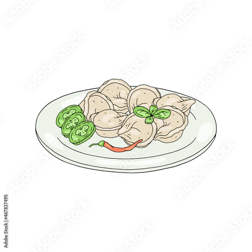 Dumplings ready dish on plate with vegetables vector illustration isolated.