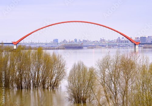 Bugrinsky Bridge in Novosibirsk. Arched road bridge over the Ob river on the background of a large city, bare trees in the water in spring. Siberia, Russia