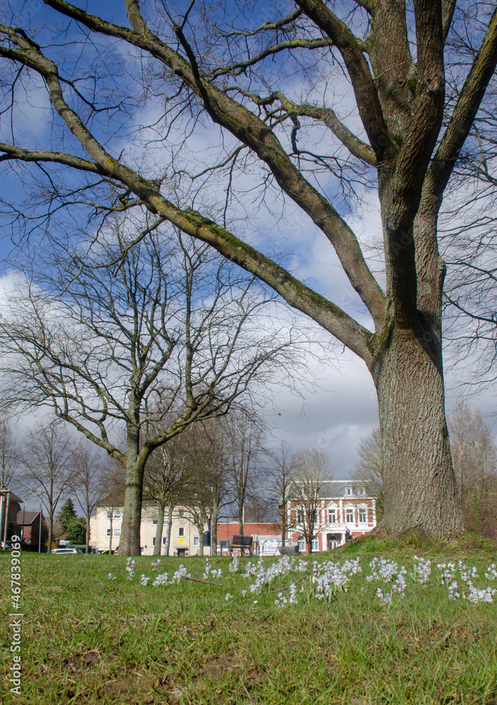 Eilendorf-Nirmerplatz Februar Eilendorf-Nirmerplatz Februar