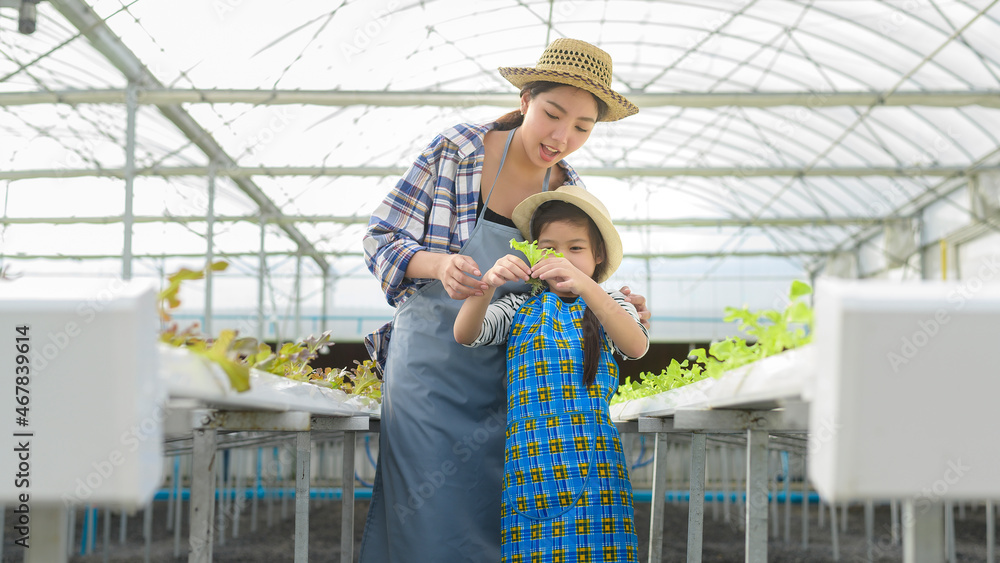 Happy farmer mom and daughter working in hydroponic greenhouse farm, clean food and healthy eating concept