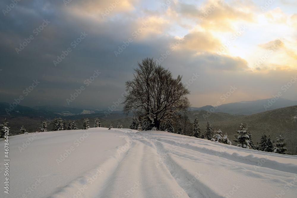 Moody landscape with footpath tracks and dark bare trees covered with fresh fallen snow in winter mountain forest on cold misty morning